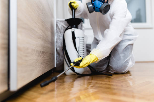 Best Residential Pest Control  in Aetna Estates, CO