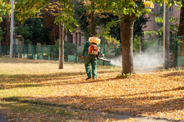 Best Pest Prevention Services  in Aetna Estates, CO
